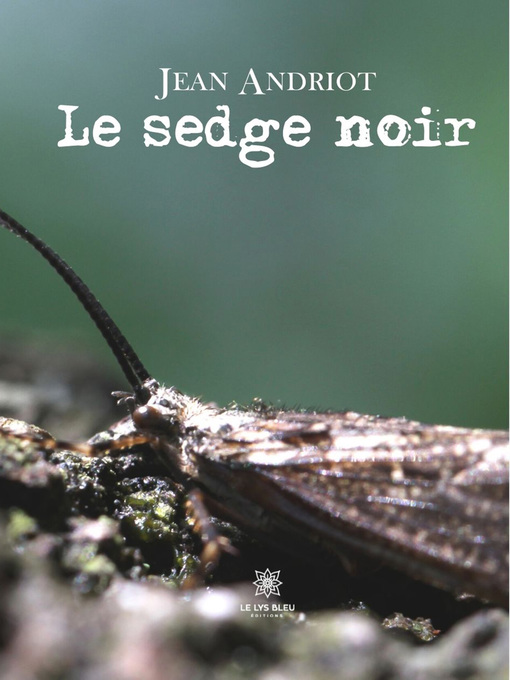 Title details for Le sedge noir by Jean Andriot - Available